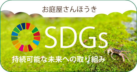 SDGs