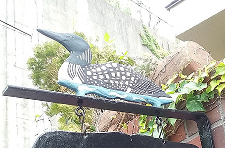 お客様の声　写真