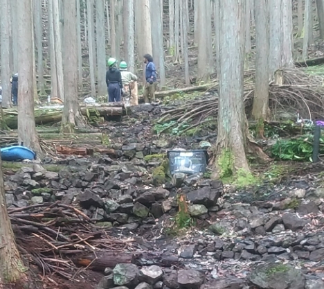 土壌環境の改善その2