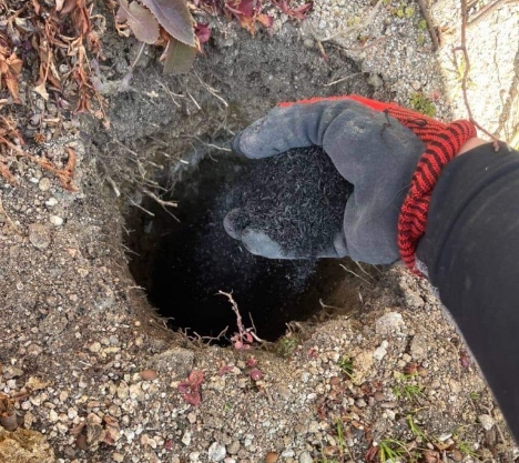 土壌環境の改善その3